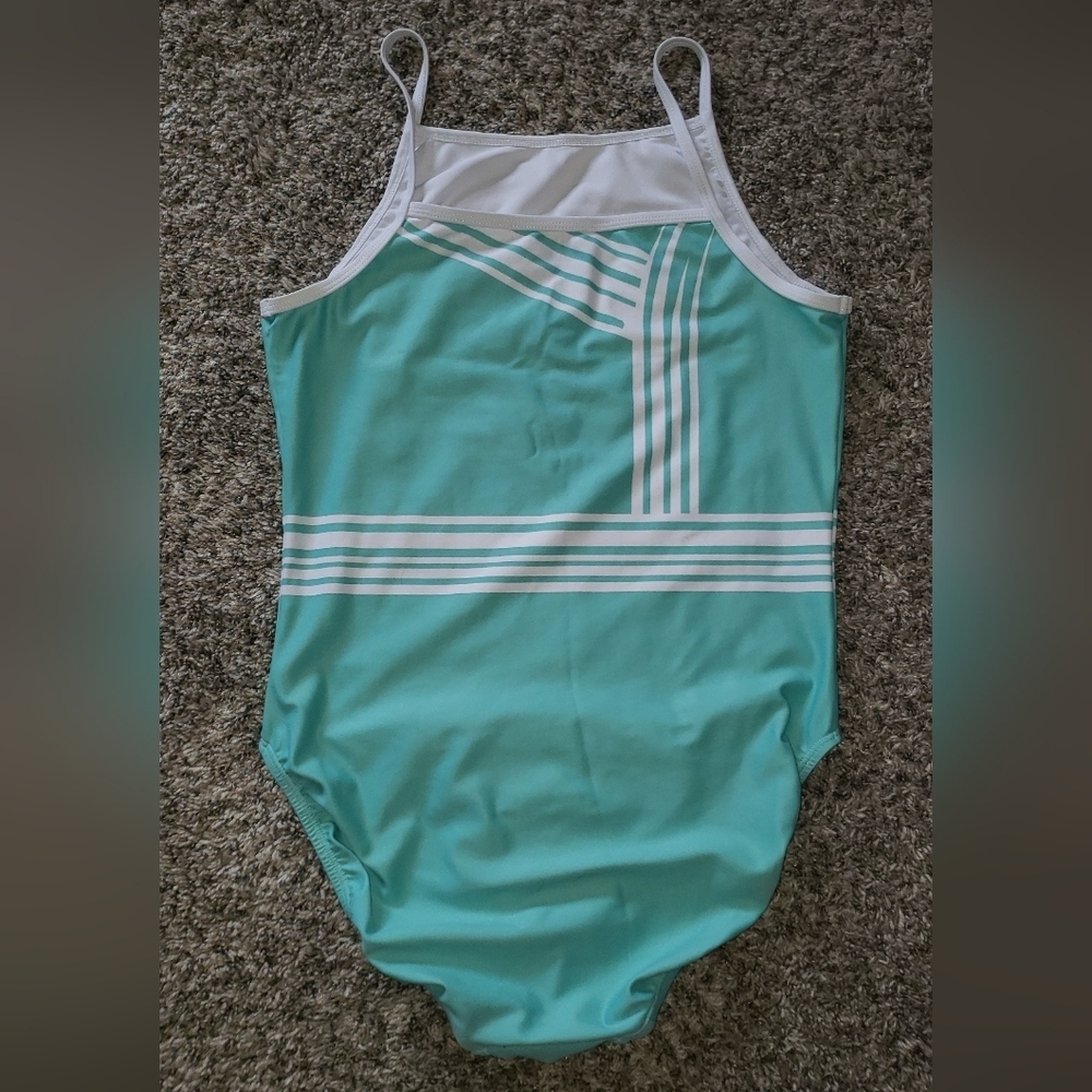 Panache| One Piece Swimsuit - Picture 5 of 5